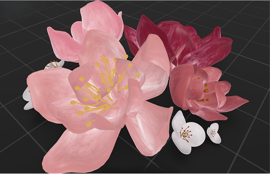 Flowers VR